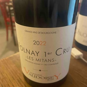Volnay "Les Grands Champs" - Domaine Jean Vaudoisey - jean-vaudoisey -2021