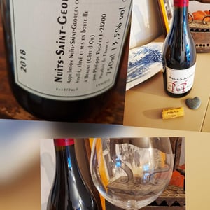 Nuits-Saint-Georges - Rouge - Philippe Pacalet - Monica et Philippe Pacalet 