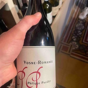 Vosne-Romanée - Philippe Pacalet - Monica et Philippe Pacalet