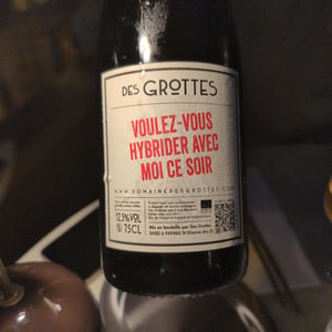 Voulez Vous Hybrider Avec Moi Ce Soir - Domaine des Grottes - romain-des-grottes -2021