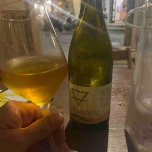 Vurgo - Viteadovest - vincenzo-angileri-ym