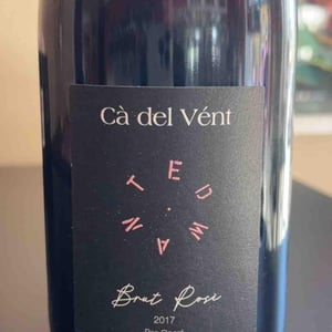 Anima (Brut Rosé Pas Operé) - Cà del Vént - Antonio Tornincasa & Flavio Faliva 