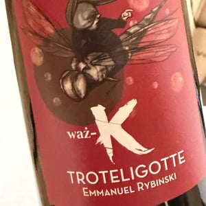 Waz-K - Clos Troteligotte - Emmanuel Rybinski 