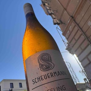 Weißburgunder Trocken - Weingut Scheuermann - Gabriel & Simon Scheuermann 