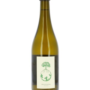Welschriesling - Weingut Werlitsch - ewald-brigitte-tscheppe