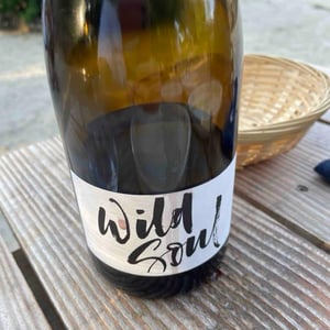 Wild Soul - Julien Sunier - Julien Sunier 