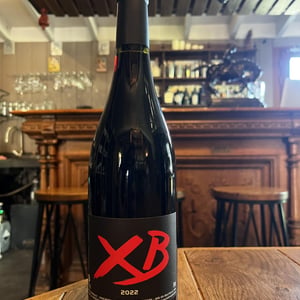 XB - La Terrasse d'Elise - Xavier Braujou 
