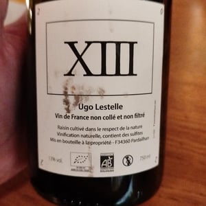 XIII - Ugo Lestelle - Ugo Lestelle -2020