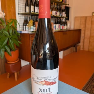 Xut Rouge - Domaine Etxondoa - olivier-pouchoulou -2020