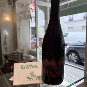 ZONE VIGNE - Domaine Des Trouillères - Camille & Mikael Hyvert -2022