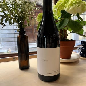 Zweigelt Kieselstein - Weingut Claus Preisinger - Claus Preisinger 