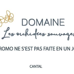 Romo ne s'est pas faite en un jour - Les Orchidées Sauvages - sebastien-lavaurs -2025