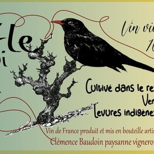Le Merle qui Pète