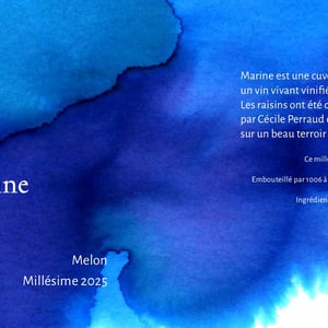Marine - 1006 Vins de Loire - pauline-lair