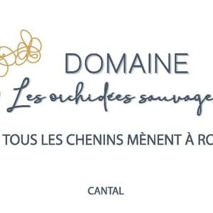 Tous les chenins mènent à Romo - Les Orchidées Sauvages - sebastien-lavaurs -2025