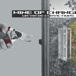 Wine of change - Les Orchidées Sauvages - sebastien-lavaurs -2025
