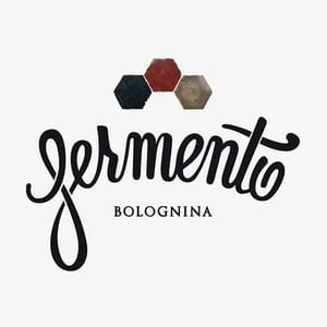Fermento
