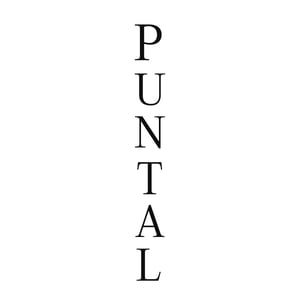 Espai Puntal logo
