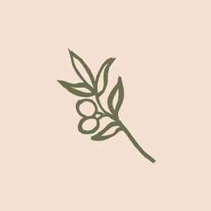 Olivo Wine Bar & Shop