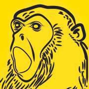 Kofra Coffee Roasters