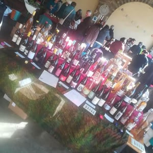Les Vins du Maquis