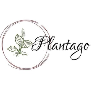 Plantago