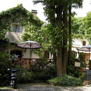 Au Cœur de la Forêt
