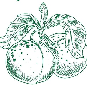 Bistro Mirabelle