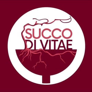 Enoteca Succo di vitae
