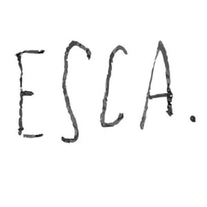 ESCA.