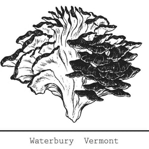 Hen of the Wood - Waterbury
