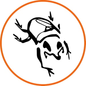Konchu