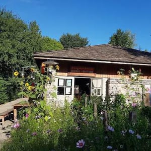 La Guinguette du bout du lac