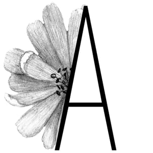 L’annexe