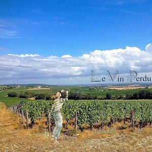 Le Vin Perdu