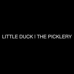Little Duck