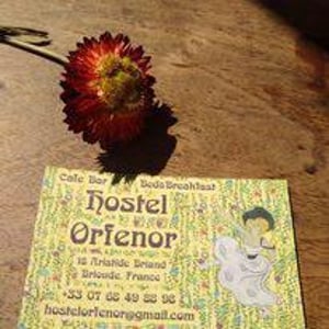 Orfenor