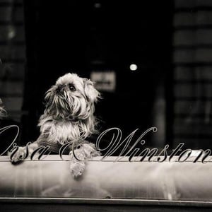 Orsa & Winston