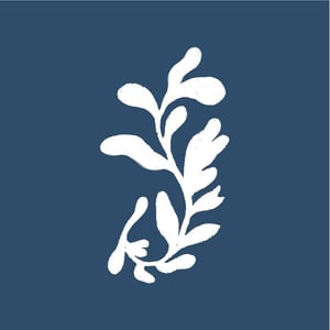 Osteria Lagrandissima