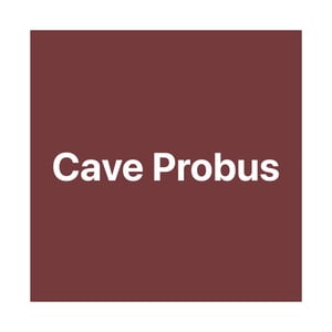 Cave Probus