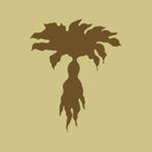 La Mandragora bottega organica