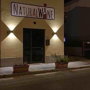 Natural Wine Distribution