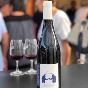 Retour de Vignes