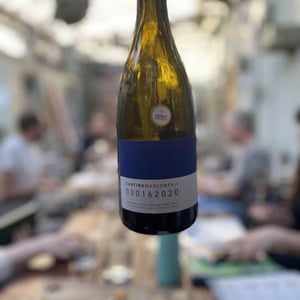 000152019 - Cantina Marco Merli - marco-merli