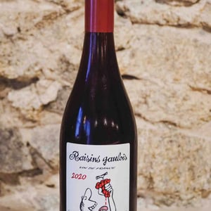 Raisins Gaulois - Domaine Marcel Lapierre - mathieu-camille-lapierre