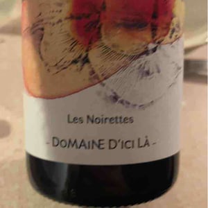 Les Noirettes - Domaine D'ici là - Adrien Bariol 