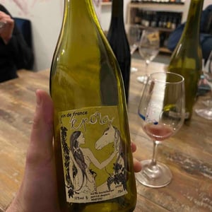 Épona Rose - Domaine des Griottes - Patrick Desplats -2020