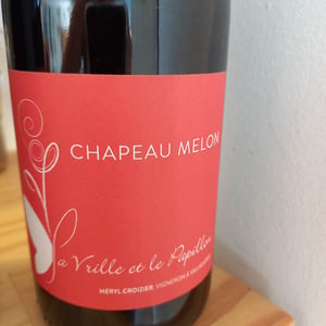 Chapeau Melon - La Vrille et le Papillon - geraldine-meryl-croizier