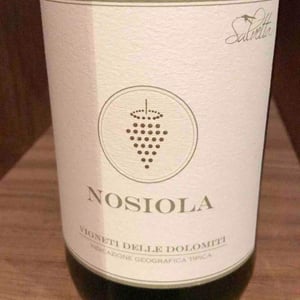 Nosiola - Azienda Agricola Salvetta - Salvetta 