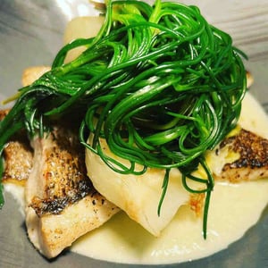 Luccioperca Del Lago - Osteria La Guana Meride - 595557